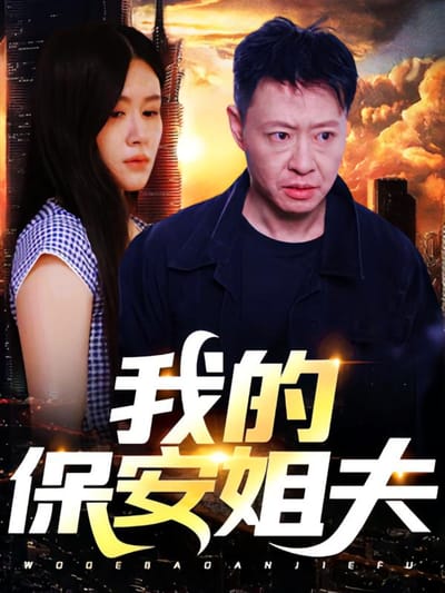 我的保安姐夫