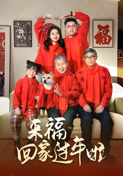 来福回家过年啦