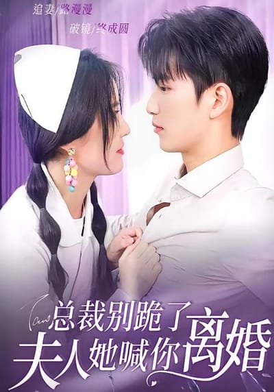 總裁別跪了，夫人她喊你離婚