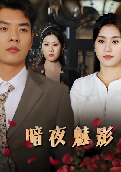 暗夜魅影