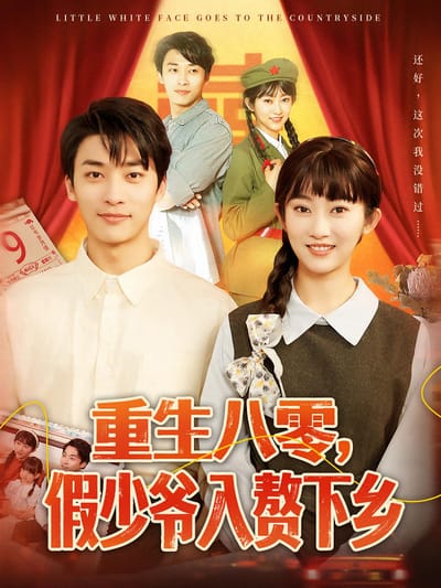 重生八零，假少爺入贅下鄉