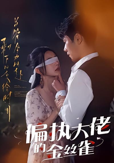 偏執大佬的金絲雀