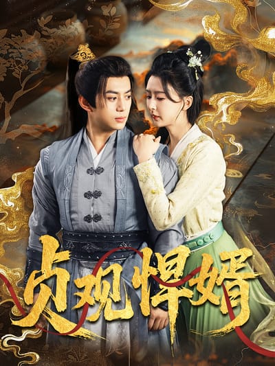 貞觀悍婿