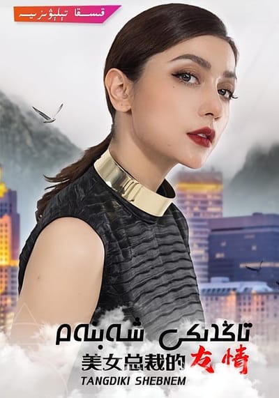 美女總裁的友情