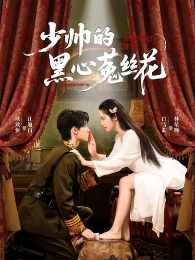 少帥的黑心菟絲花