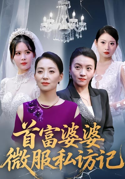 首富婆婆微服私訪記