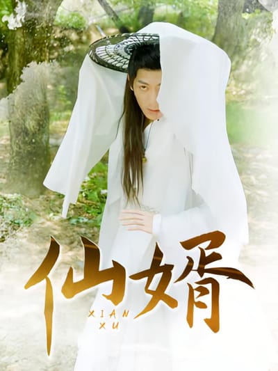 仙婿