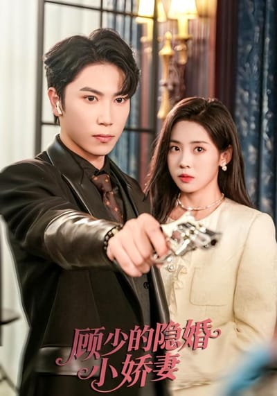 顾少的隐婚小娇妻
