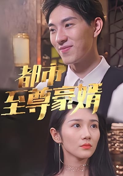 都市至尊豪婿