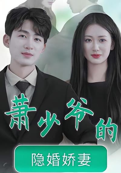 蕭少爺的隱婚嬌妻