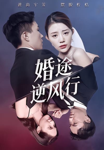 婚途逆风行