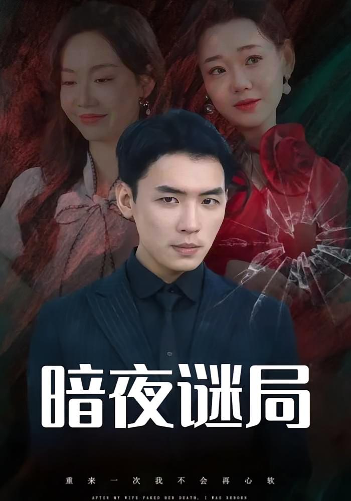 暗夜谜局