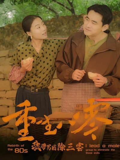 重生八零我帶男團除三害