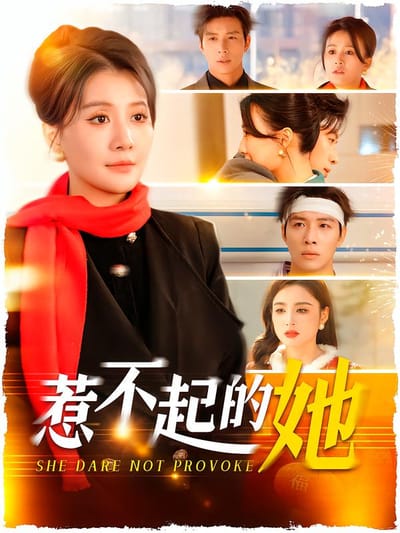 惹不起的她
