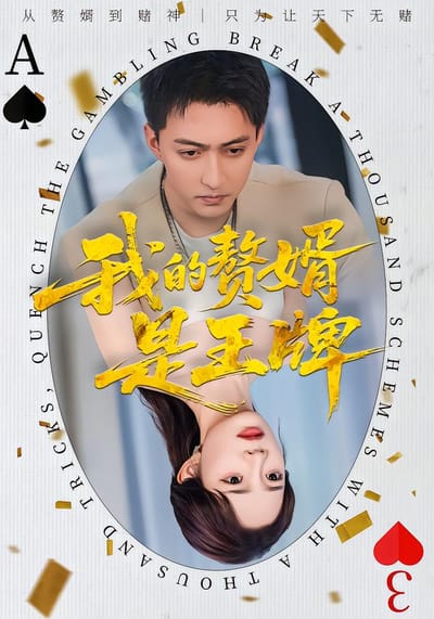 我的赘婿是王牌