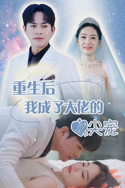 重生後我成了大佬的心尖寵
