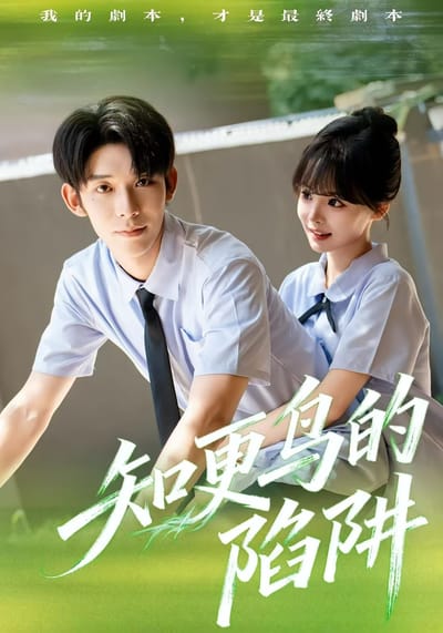知更鳥的陷阱