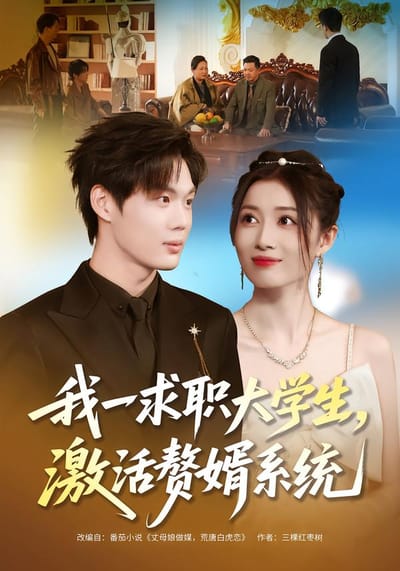 我一求职大学生，激活赘婿系统