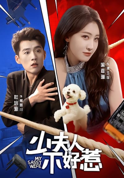 少夫人不好惹