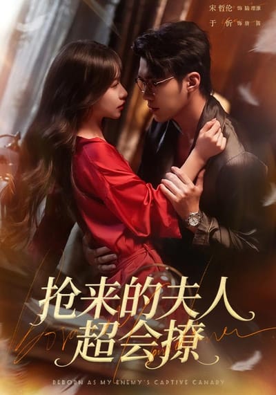 抢来的夫人超会撩