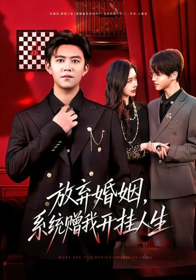 放弃婚姻，系统赠我开挂人生