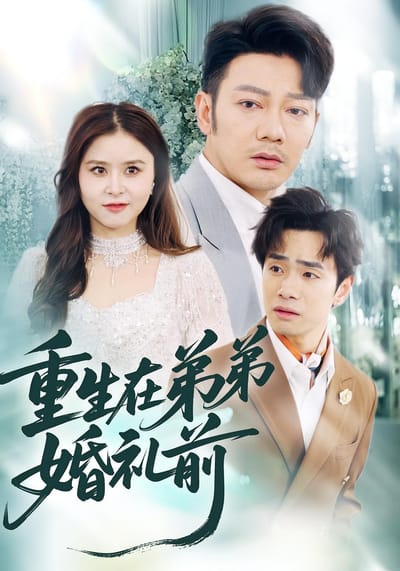 重生在弟弟婚礼前