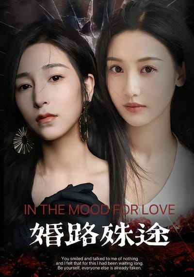 婚路殊途