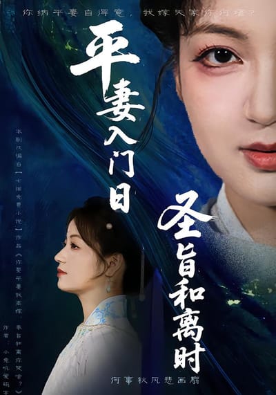 平妻入門日聖旨和離時