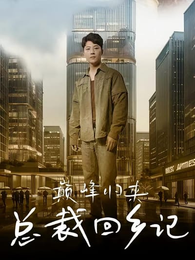 巔峰歸來總裁回鄉記