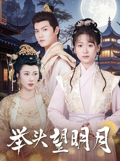 举头望明月