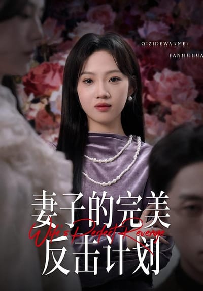 妻子的完美反擊計劃