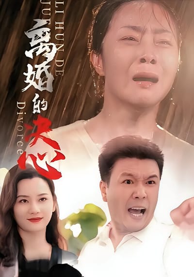 离婚的决心