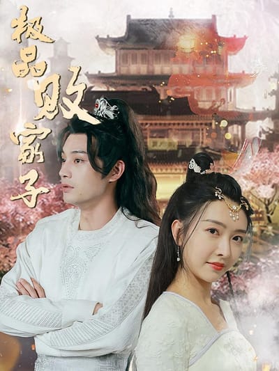 極品敗家子