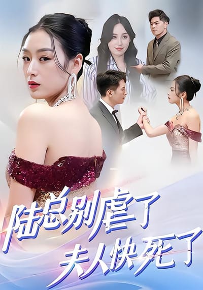 陆总别虐了，夫人快死了
