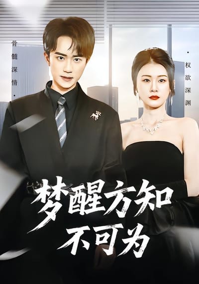 夢醒方知不可為