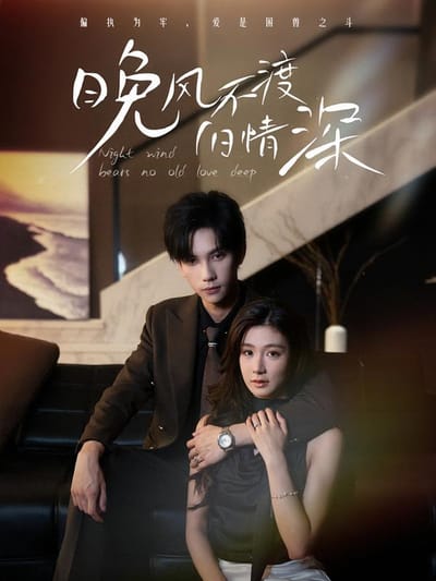 晚风不渡旧情深