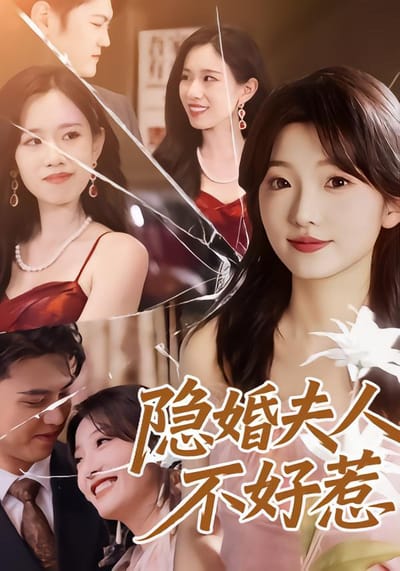 隱婚夫人不好惹