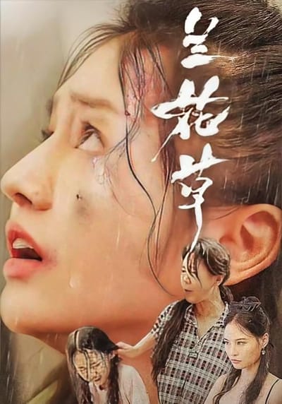 蘭花草