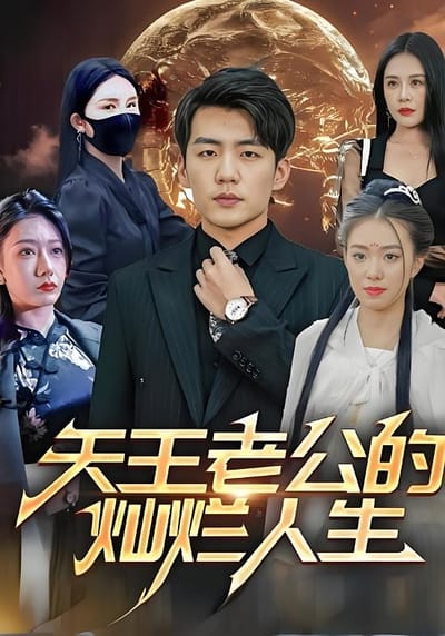 天王老公的灿烂人生