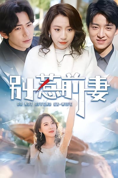 别惹前妻