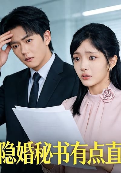 隐婚秘书有点直