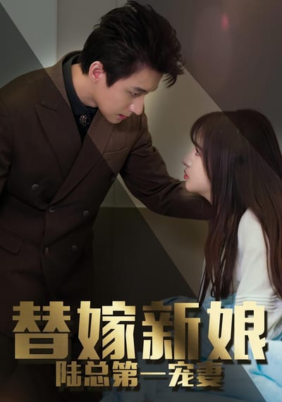 替嫁新娘：陆总的第一宠妻