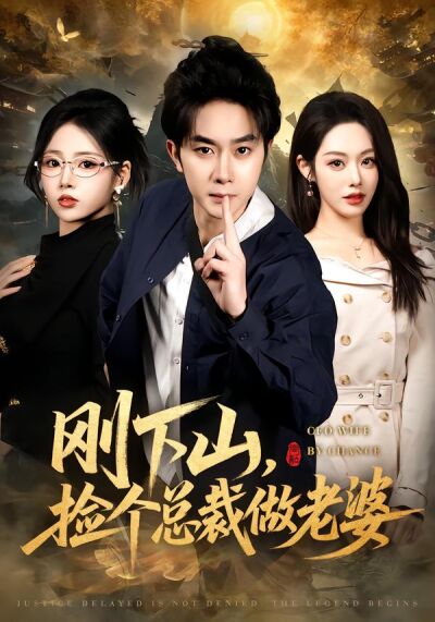 剛下山，撿個總裁做老婆