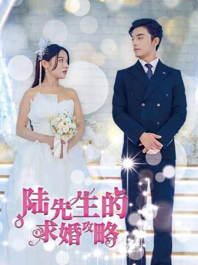 陆先生的求婚攻略