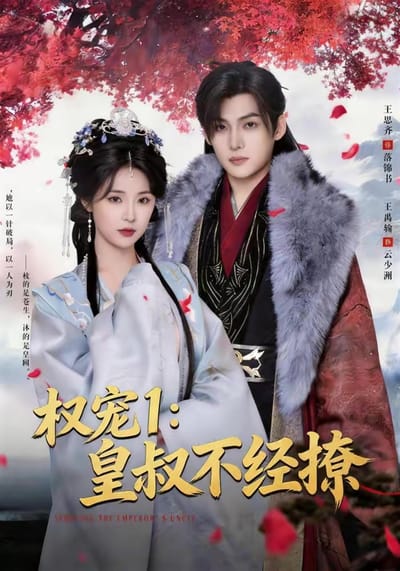 权宠1：皇叔不经撩