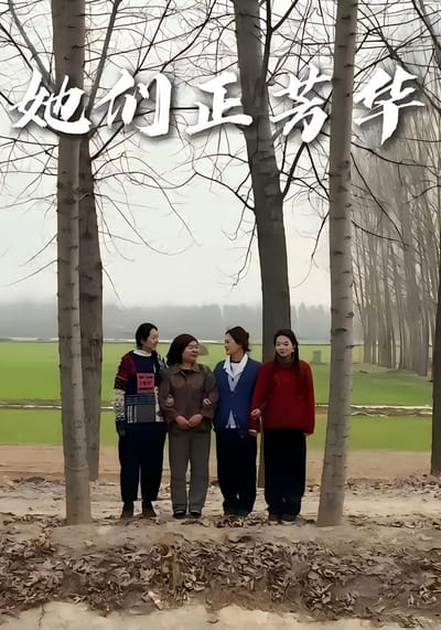 她們正芳華