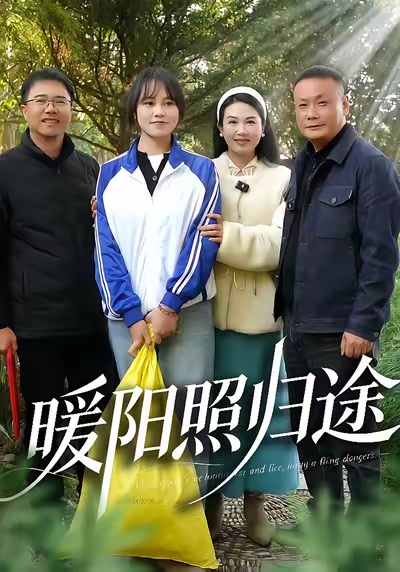 暖阳照归途