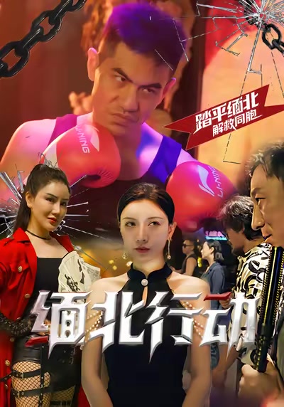缅北行动
