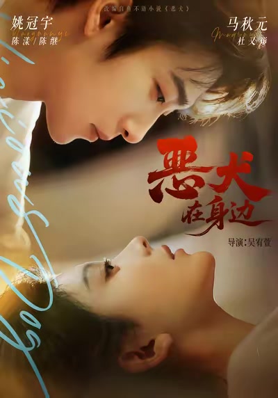恶犬在身边