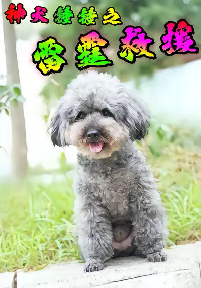 《神犬锤锤之雷霆救援》剧照